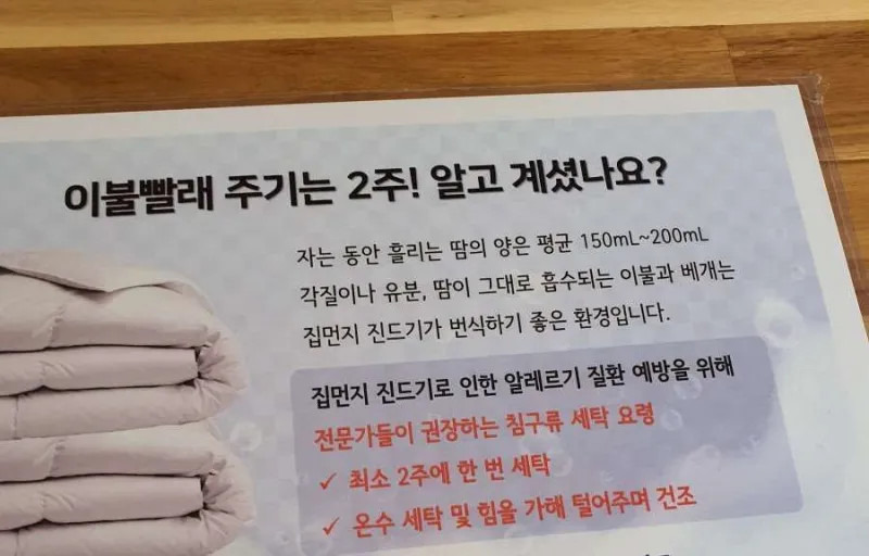 이불빨래 주기… | 인스티즈