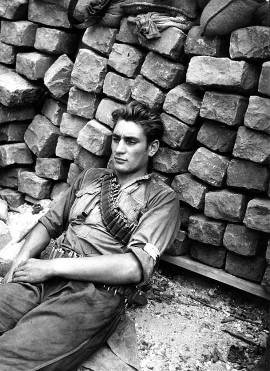 과거 독일에서 유행했던머리.jpg | 인스티즈