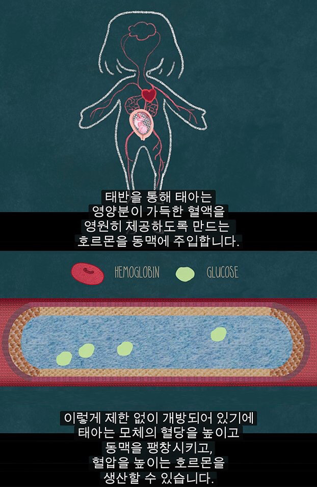 생리는 결코 오지 않는 정자를 기다리다 아기집을 허무는 과정이 아니다 | 인스티즈