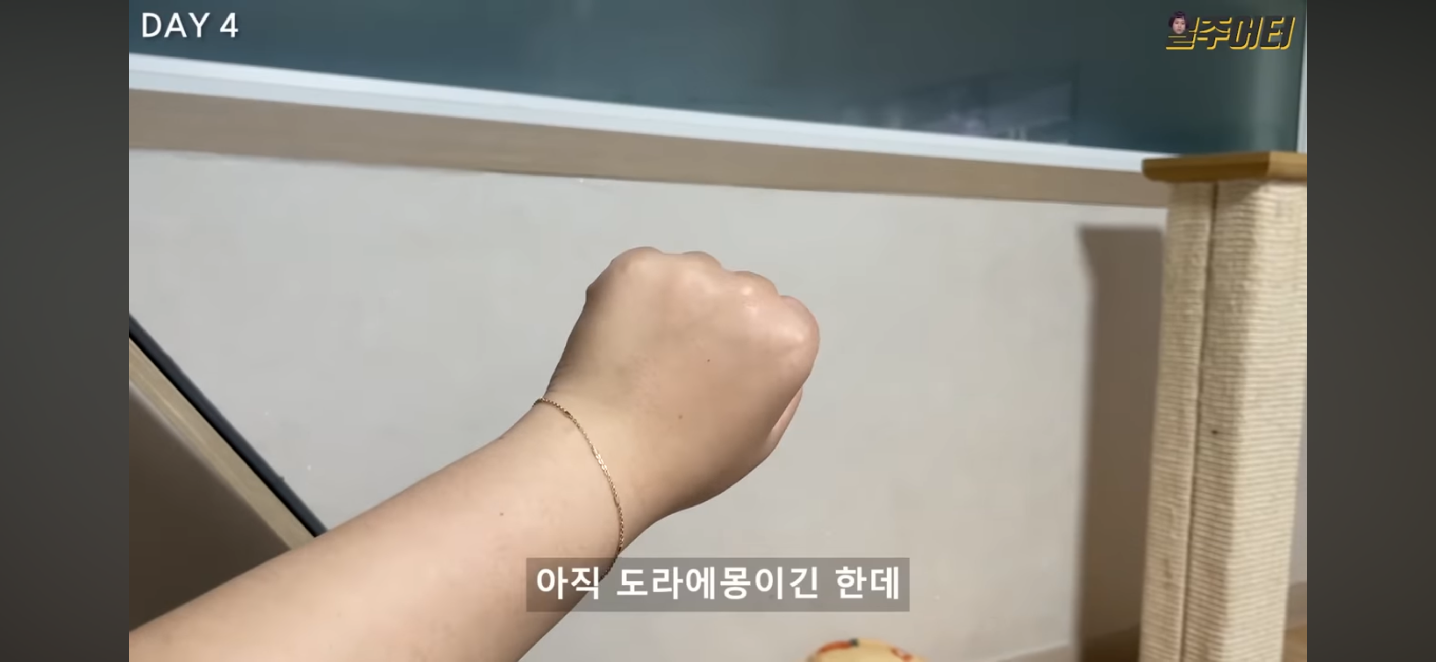 그릭요거트 다이어트 했었던 일주어터 | 인스티즈