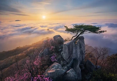 의외로 봐도 모르는 사람이 많을 것 같은 여행지 사진 공통점......jpg | 인스티즈