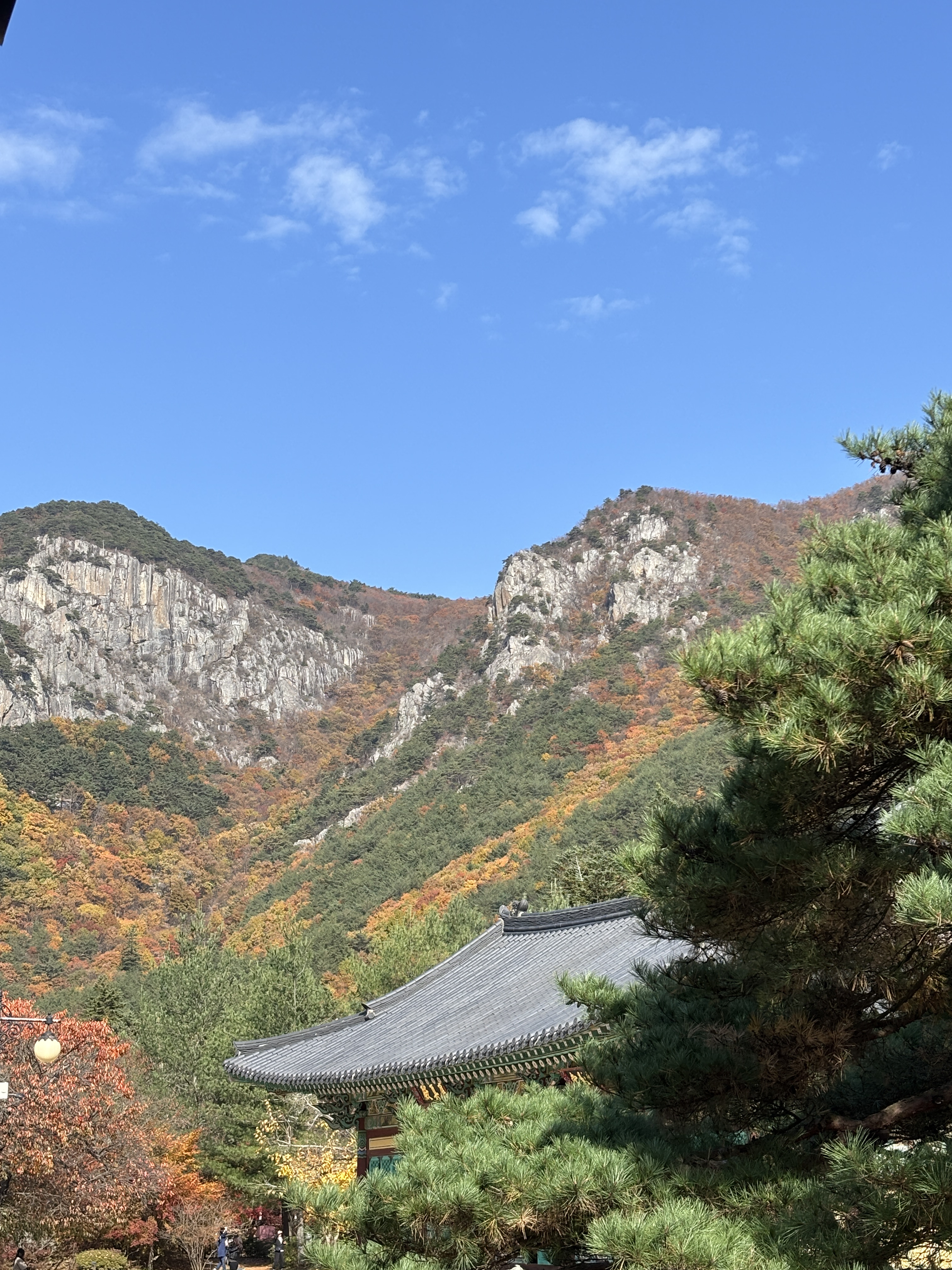 국내에도 멋있는 곳이 많아! 많관부..! 3탄 | 인스티즈