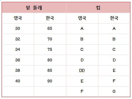 오유에서 일어난 브래지어대란 | 인스티즈