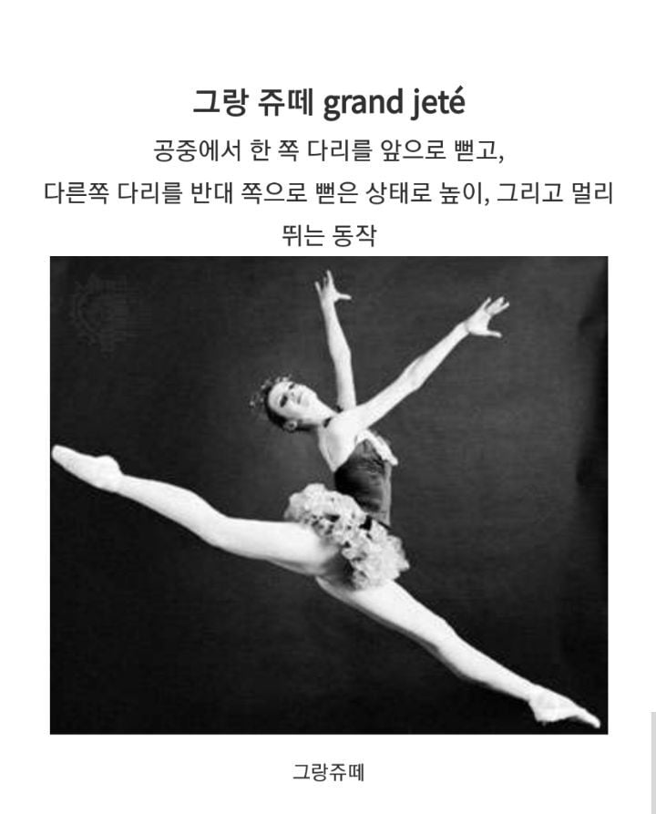 테일즈런너 리나 대사의 비밀 | 인스티즈