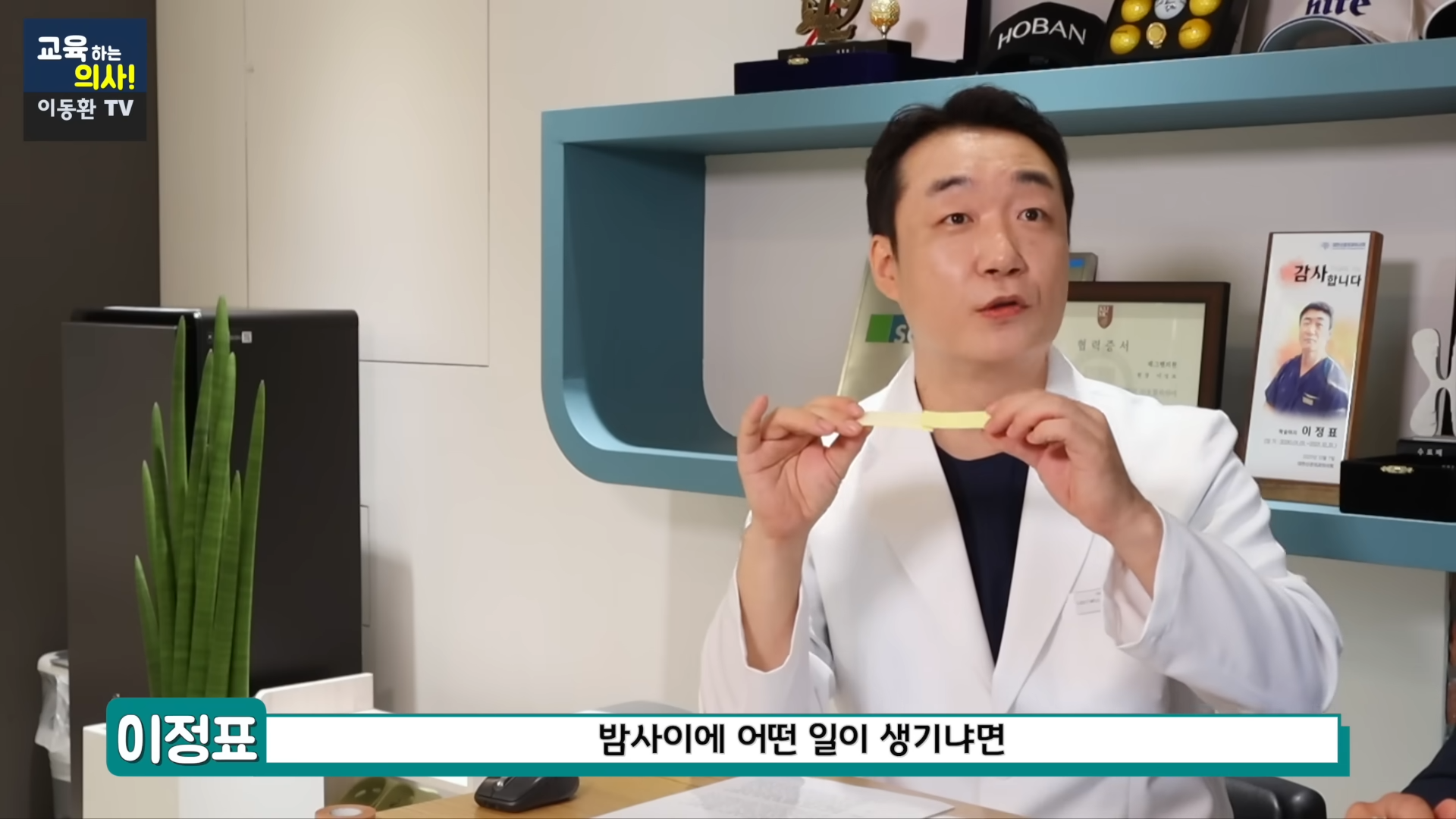 600원으로 족저근막염 해결하는 방법 (신경외과 전문의 정식 추천임, 민간요법x) | 인스티즈