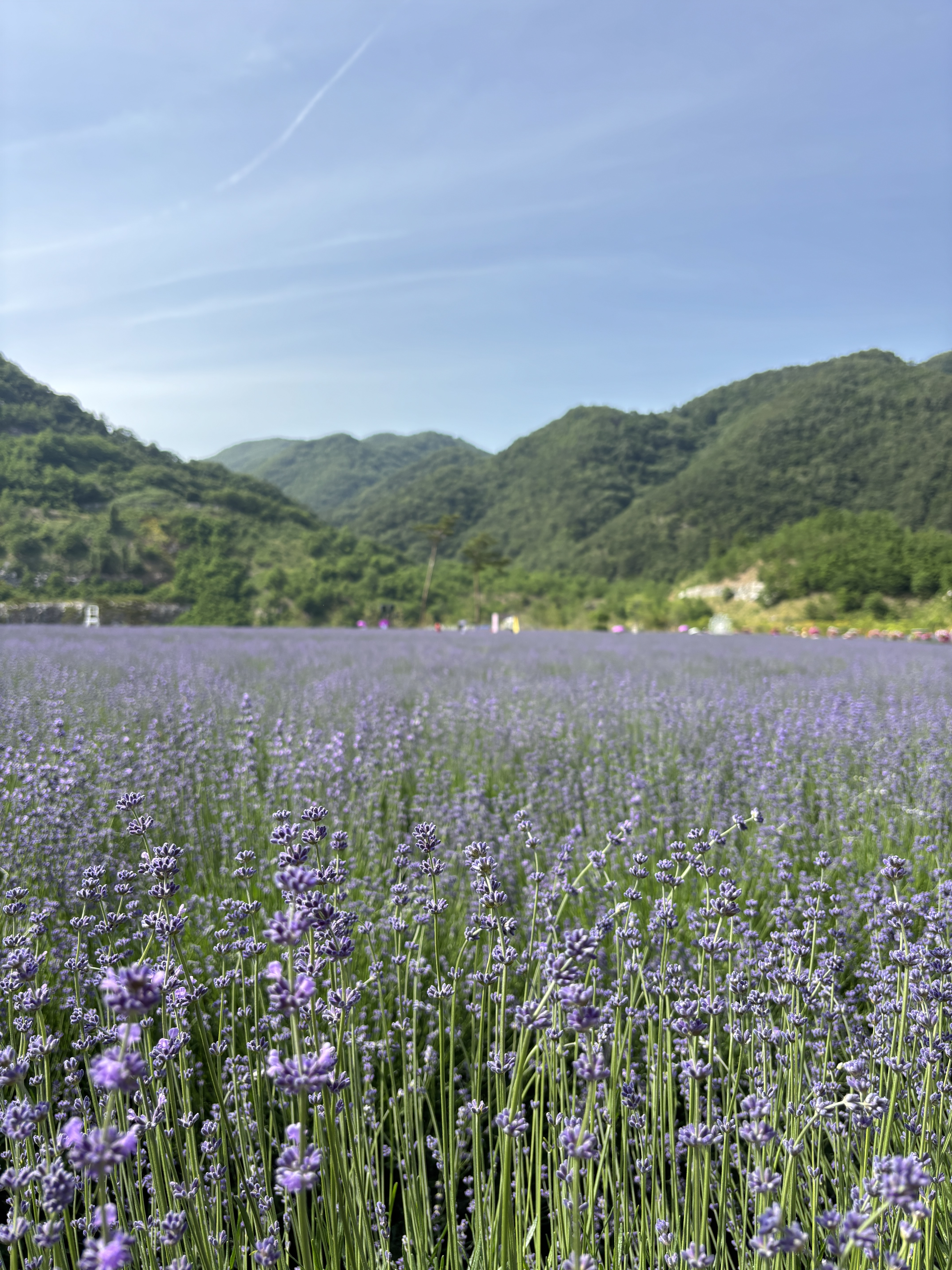 국내에도 멋있는 곳이 많아! 많관부..! 3탄 | 인스티즈