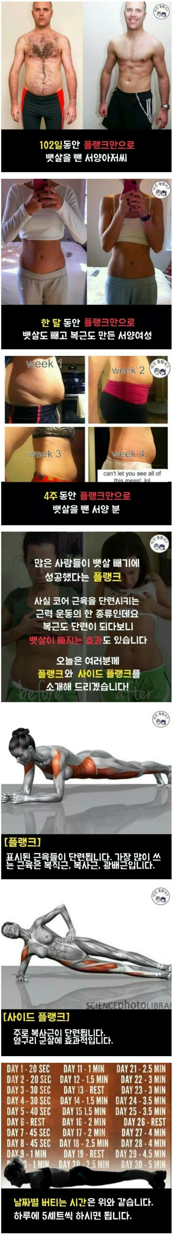 뱃살 빠지는 플랭크 운동의 위엄.jpg | 인스티즈