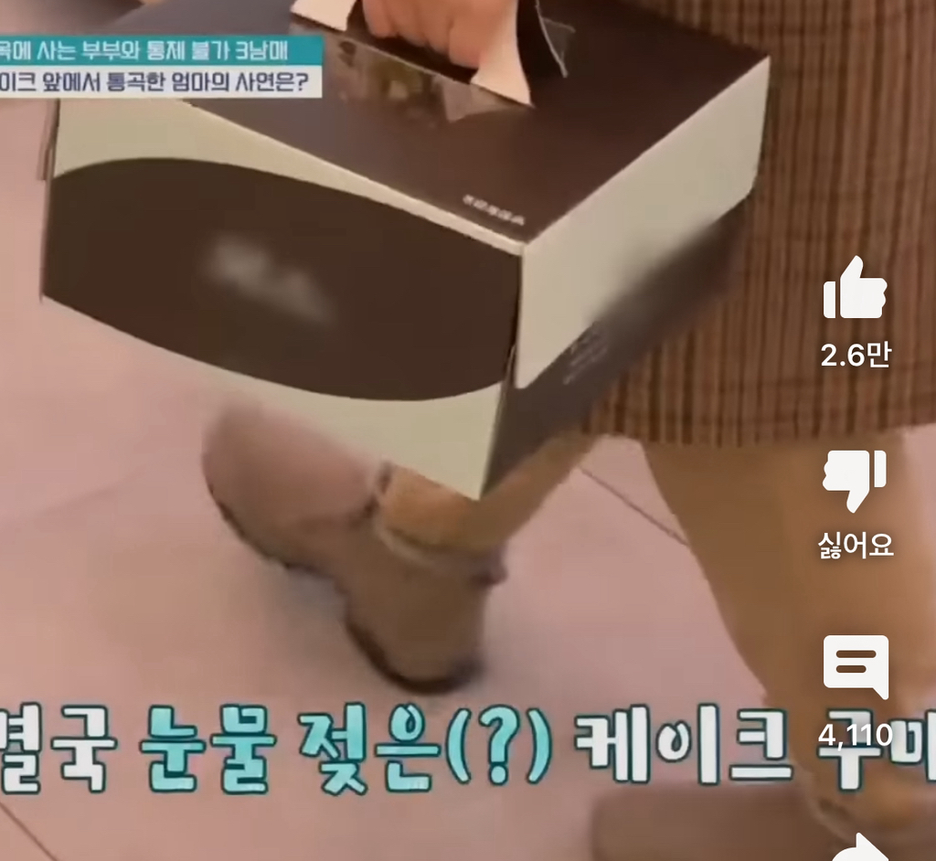 [금쪽같은내새끼] 엉엉 우는 엄마 앞에서 마냥 신난 아들 | 인스티즈