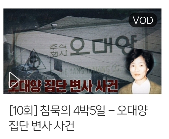 보다보면 이상하게 똑똑해지는 기분 드는 예능들.jpg | 인스티즈