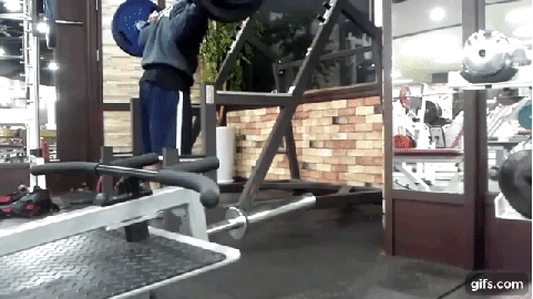 디시 헬스갤러리에서 가장 강하다는 남자 | 인스티즈