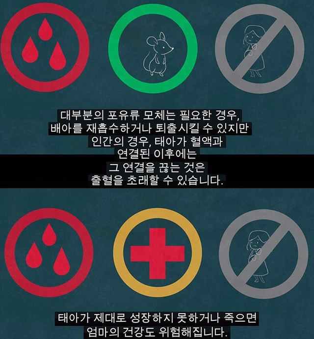 생리는 결코 오지 않는 정자를 기다리다 아기집을 허무는 과정이 아니다 | 인스티즈