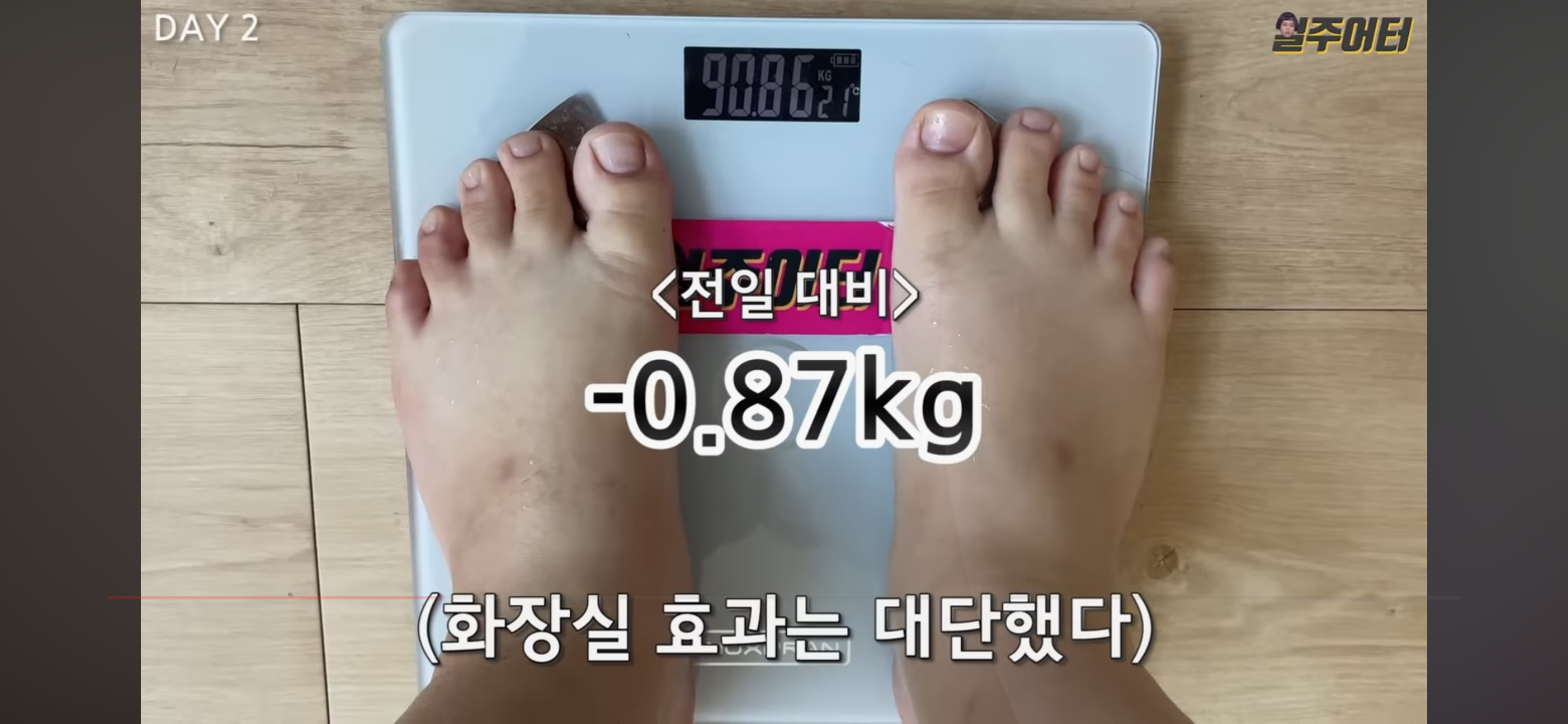 그릭요거트 다이어트 했었던 일주어터 | 인스티즈