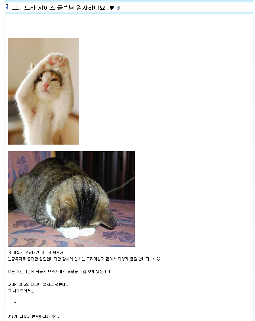 오유에서 일어난 브래지어대란 | 인스티즈