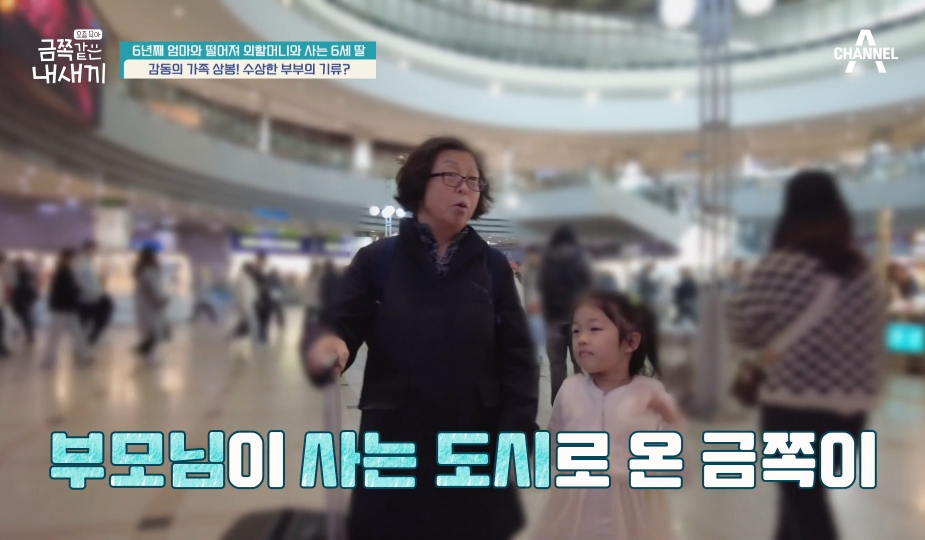 1년에 3번 엄마아빠를 만난다는 금쪽이가 시골집으로 돌아왔을때 한 행동 | 인스티즈