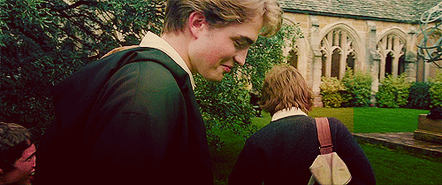 [해리포터] 해리포터의 공식미남 6명 | 인스티즈