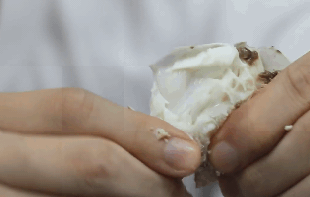 꽃게 살 완벽하게 발라먹는 방법.jpgif | 인스티즈