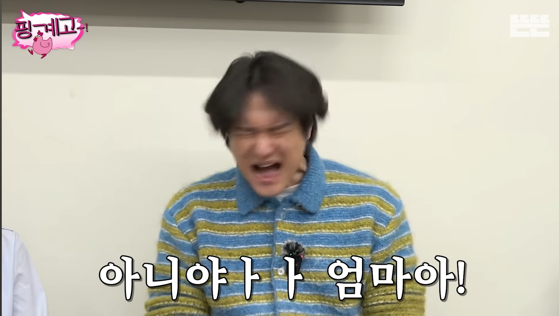 핑계고 올해 (2025) 진짜 재밌었던 편들 ㅋㅋㅋ | 인스티즈