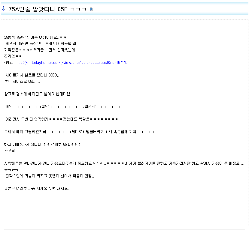 오유에서 일어난 브래지어대란 | 인스티즈