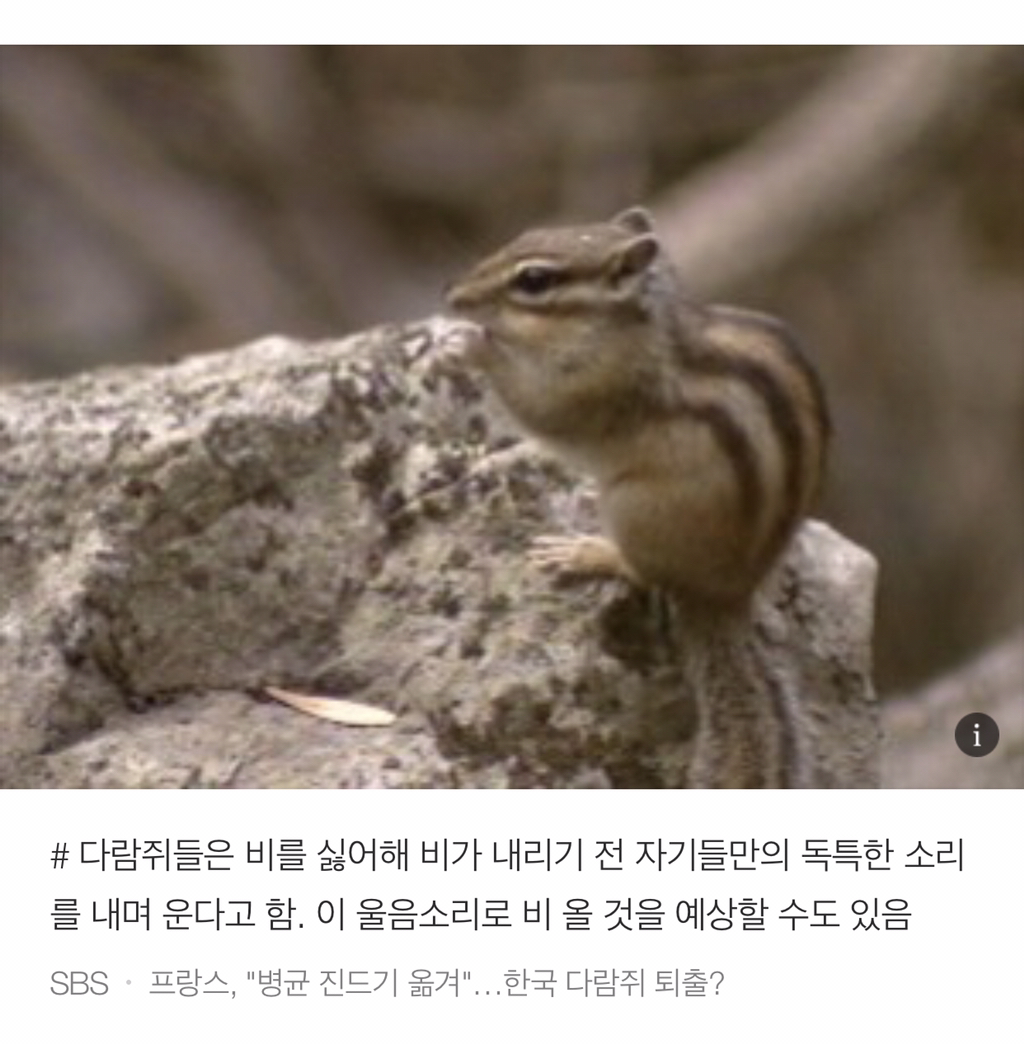 너무 귀여워서 끝까지 못 읽는 동물들 tmi | 인스티즈
