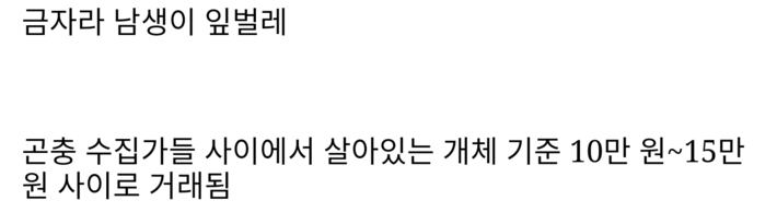 한국에 서식한다는 황금 곤충 | 인스티즈