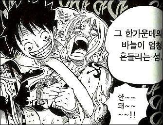나미와 루피와의 운명은 서서히 모양이 갖춰지고 있다 | 인스티즈