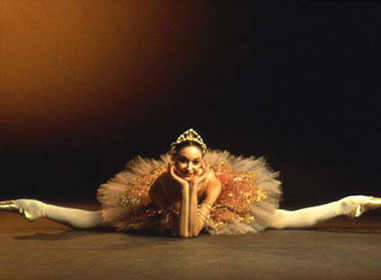 발레 좋아하는 게녀들, 상식은 아니지만 알아두면 좋은것! | 인스티즈