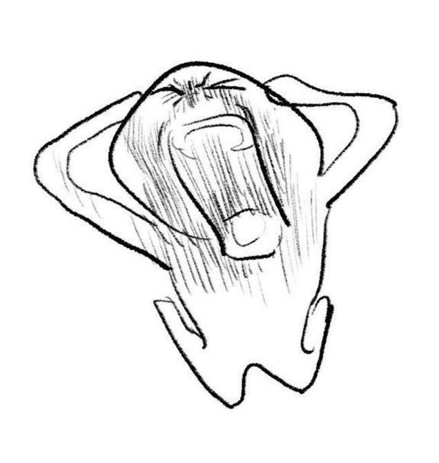왜 아무도 재밌다고 말 안해줬는지 억울한 짱잼 드라마.jpg | 인스티즈