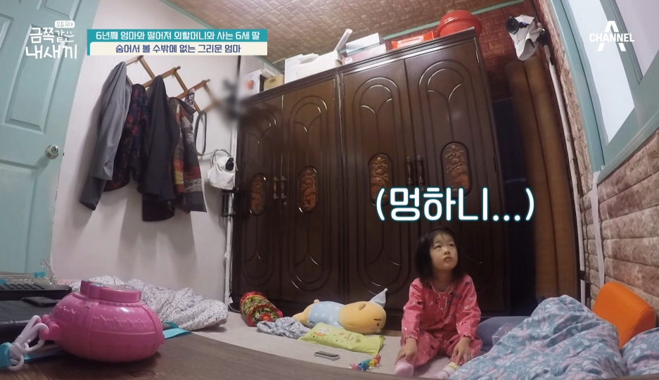 1년에 3번 엄마아빠를 만난다는 금쪽이가 시골집으로 돌아왔을때 한 행동 | 인스티즈