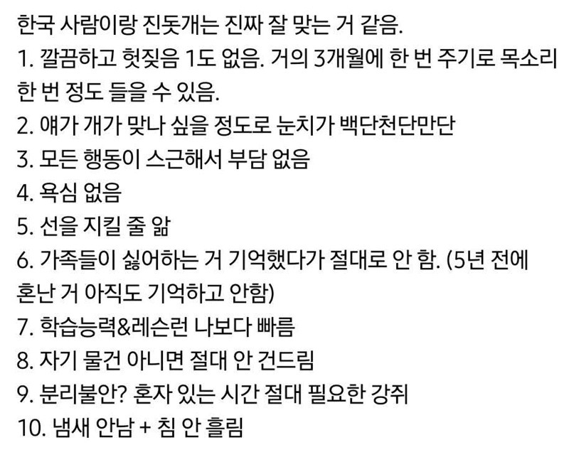 한국사람이랑 잘 맞는다는 진돗개 | 인스티즈