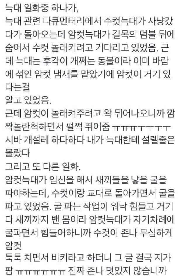 남자는 다 늑대다 라는 말 하지마셈 | 인스티즈