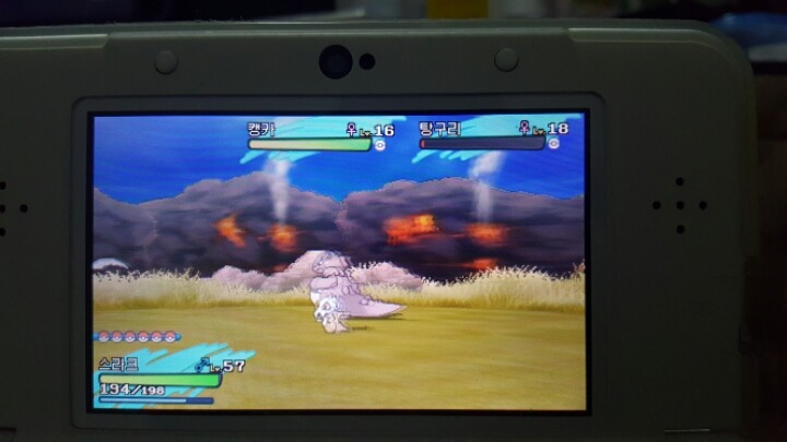  탕구리의 부모는 캥카가 거의 확실 | 인스티즈