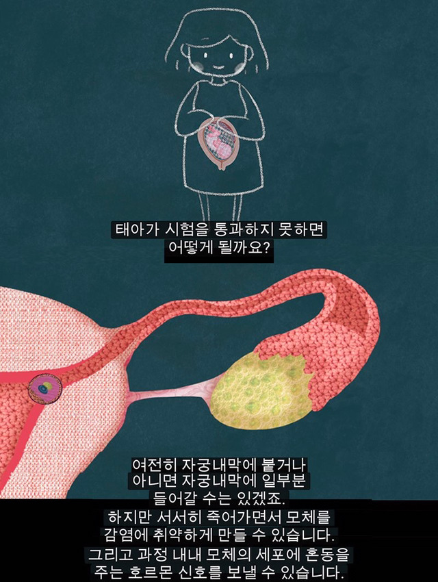 생리는 결코 오지 않는 정자를 기다리다 아기집을 허무는 과정이 아니다 | 인스티즈