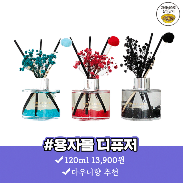 자취방 냄새 잡아주는 향기좋은 디퓨저 best 8 | 인스티즈