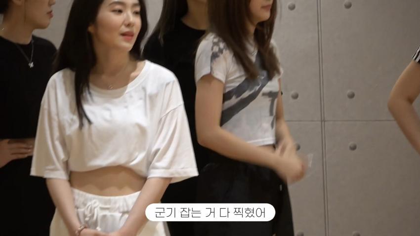 레드벨벳 아이린의 진짜 성격을 볼 수 있는 브이로그 | 인스티즈