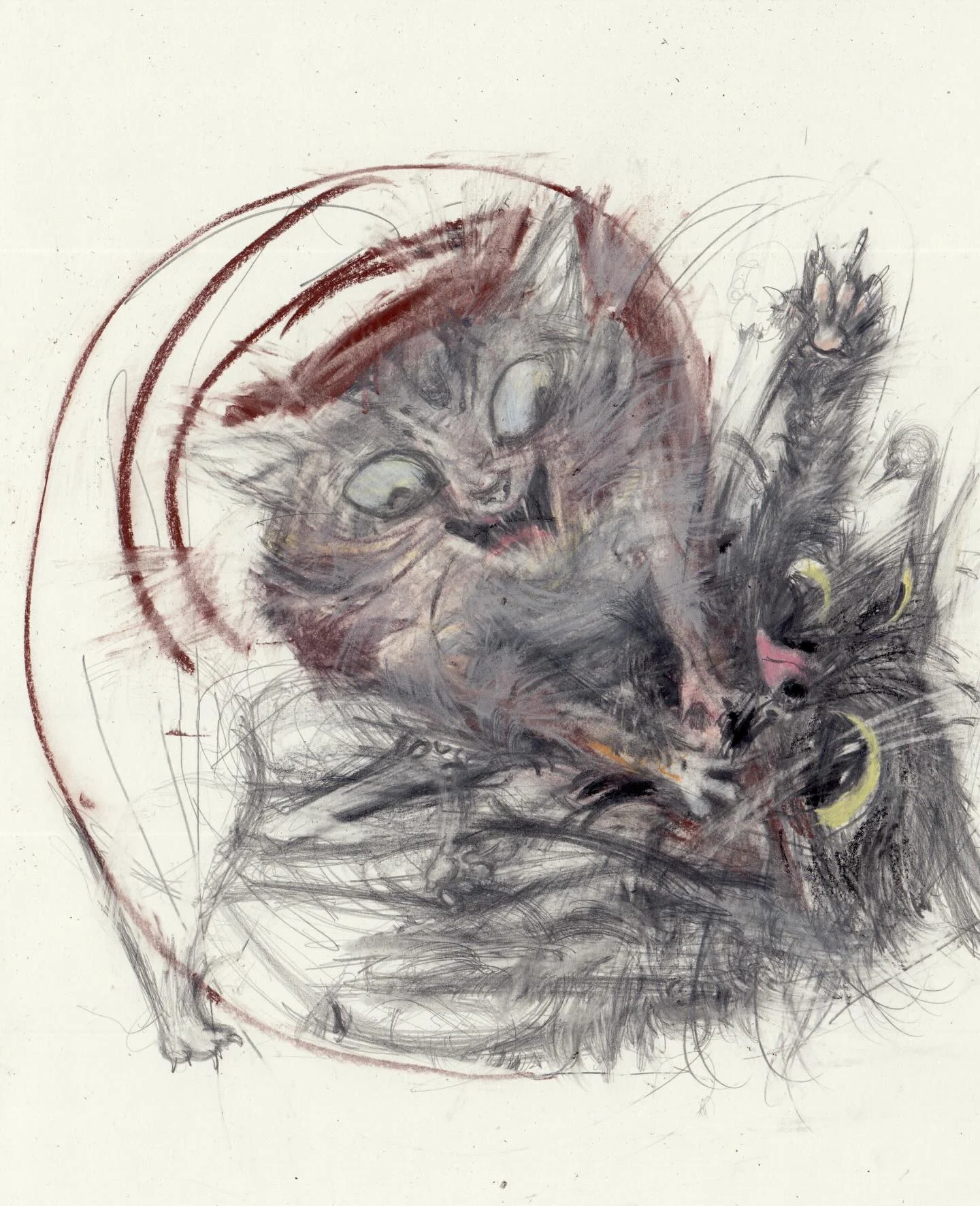 그림보는 순간 소리도 들리는 극사실주의 화가 | 인스티즈