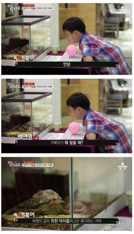 (눈물주의) 엄마의 죽음을 받아들이는 아이 (슬픔주의) | 인스티즈