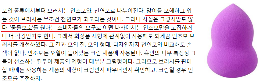 화장하는 여자들중에 이거 생각해본 사람 거의 없음 (부제: 메이크업 브러쉬의 끔찍한 진실...) | 인스티즈