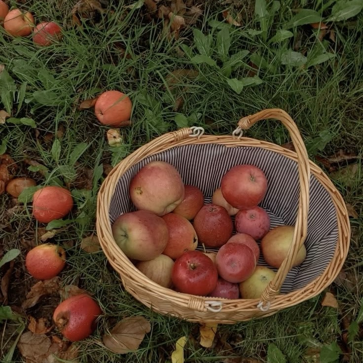 🍁 가을만 되면 미국인들이 환장하고 찾는 드라마 🍂🧡 | 인스티즈