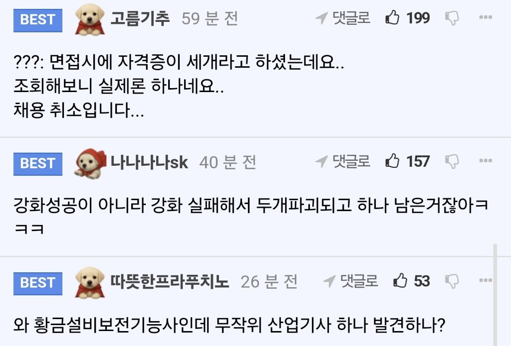 똑같은 자격증 3개나 취득한 사람 레전드 | 인스티즈