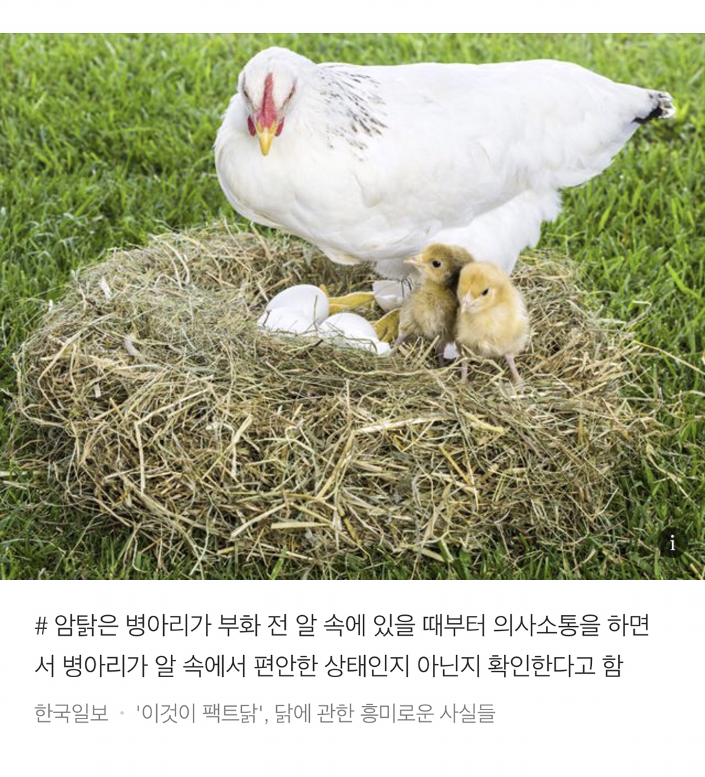너무 귀여워서 끝까지 못 읽는 동물들 tmi | 인스티즈