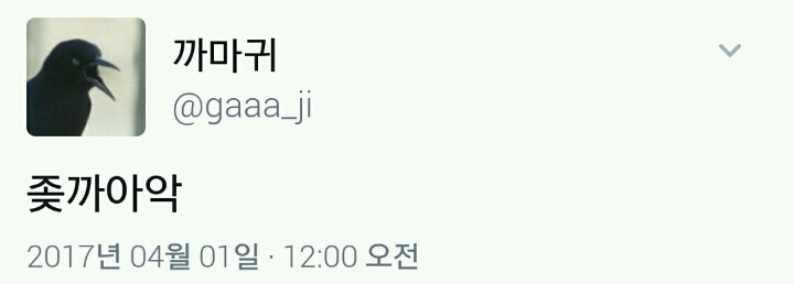 현 시각 트위터 | 인스티즈
