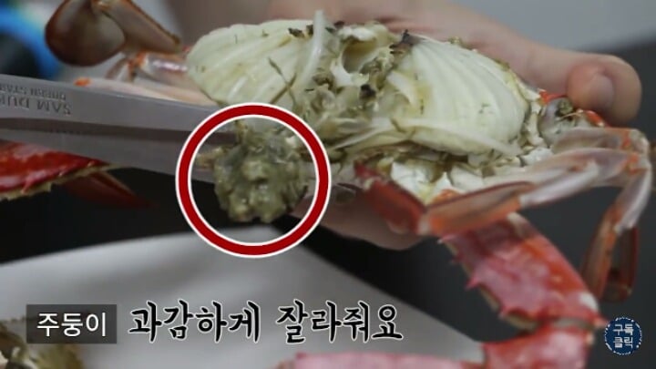 꽃게 살 완벽하게 발라먹는 방법.jpgif | 인스티즈