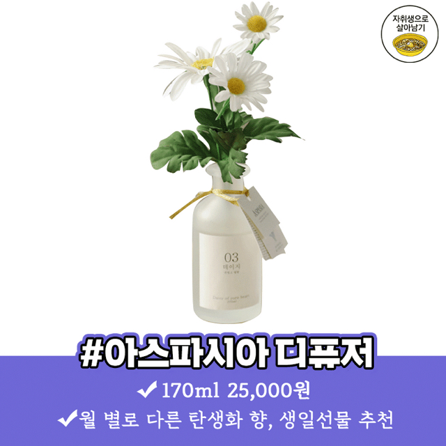 자취방 냄새 잡아주는 향기좋은 디퓨저 best 8 | 인스티즈