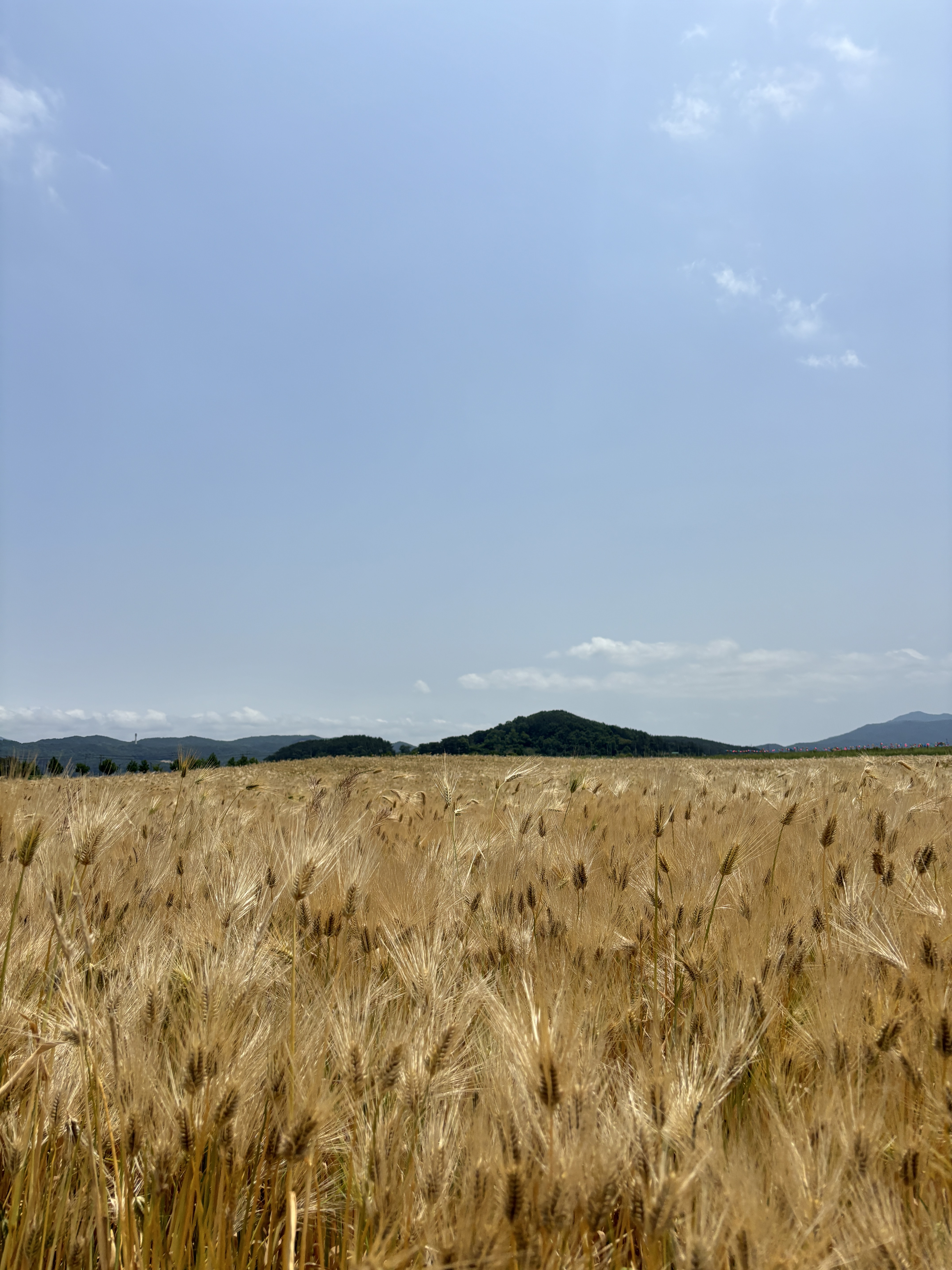 국내에도 멋있는 곳이 많아! 많관부..! 3탄 | 인스티즈