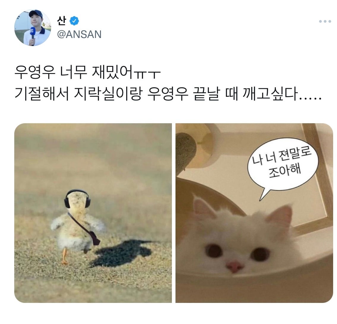 나만큼 우영우 과몰입한 연예인 모음집.twt | 인스티즈