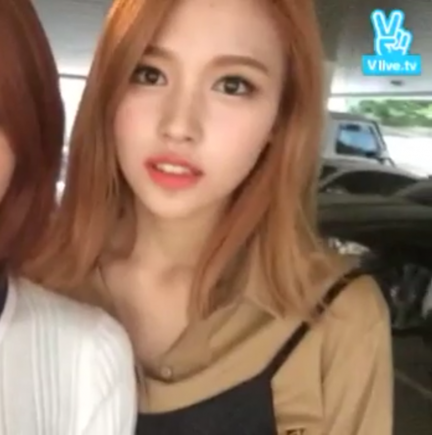 트와이스 미나 주관적인 레전드짤 모음 (데이터주의) | 인스티즈