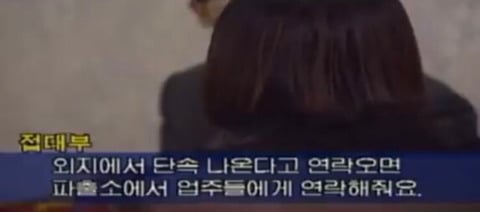 전남 신안군 염전노예는 알아도 여성 성노예는 모르지 다들 | 인스티즈