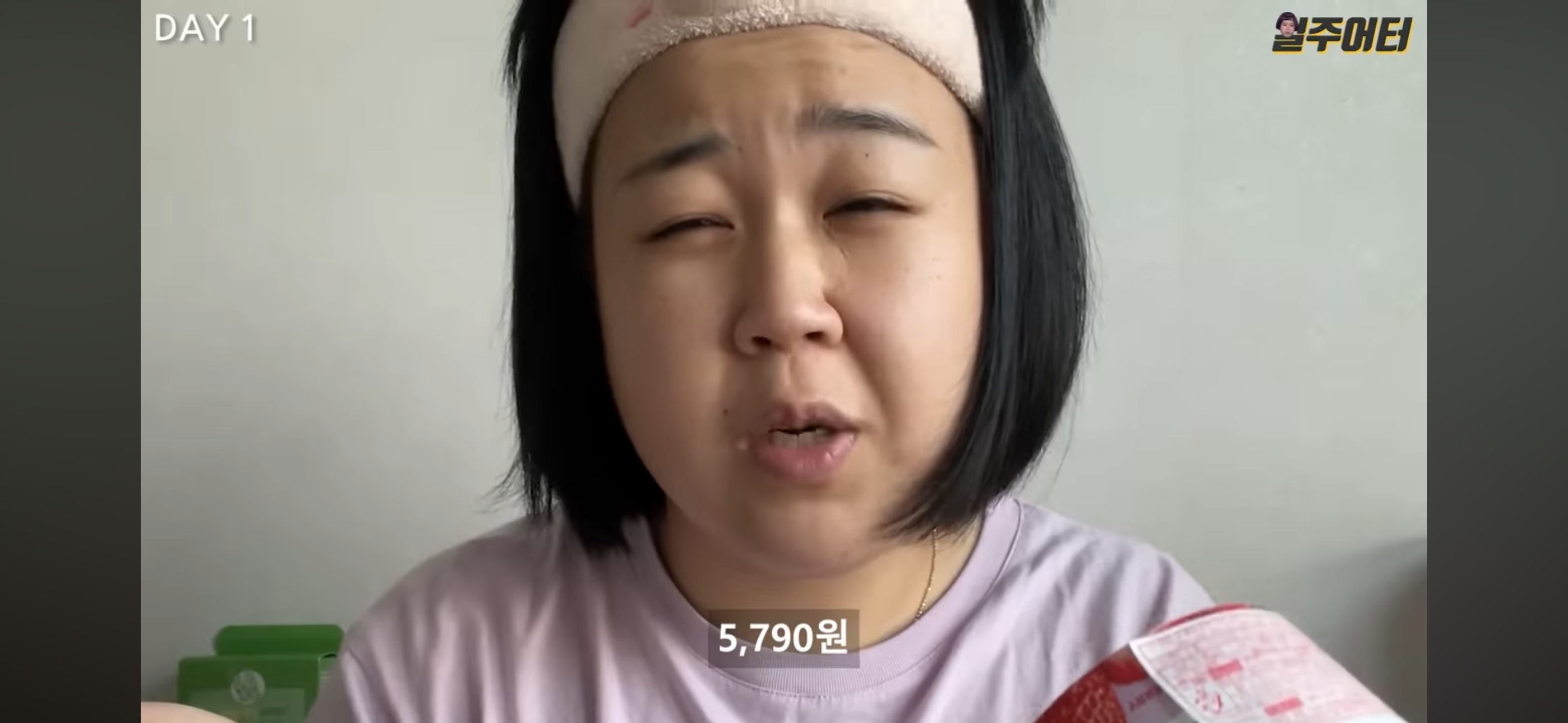 그릭요거트 다이어트 했었던 일주어터 | 인스티즈