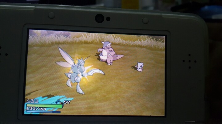  탕구리의 부모는 캥카가 거의 확실 | 인스티즈