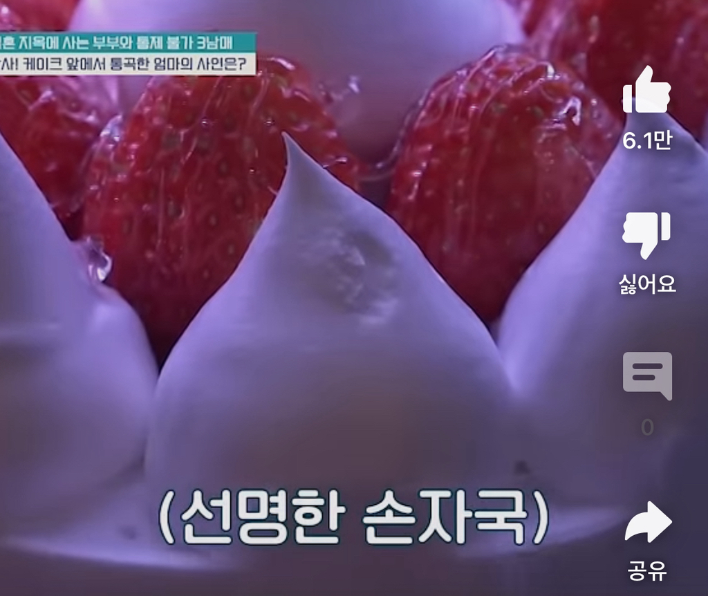 [금쪽같은내새끼] 엉엉 우는 엄마 앞에서 마냥 신난 아들 | 인스티즈